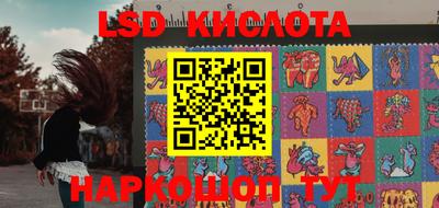 прущие грибы Обь