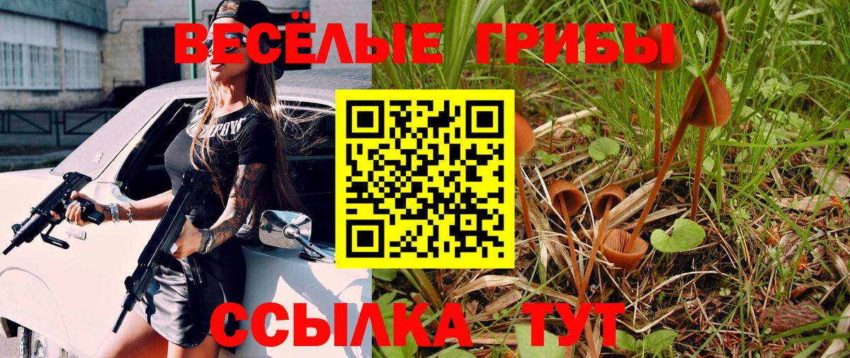 Галлюциногенные грибы прущие грибы  Вход с VPN  Павловский Посад  продажа наркотиков  Псилоцибиновые грибы ЛСД 