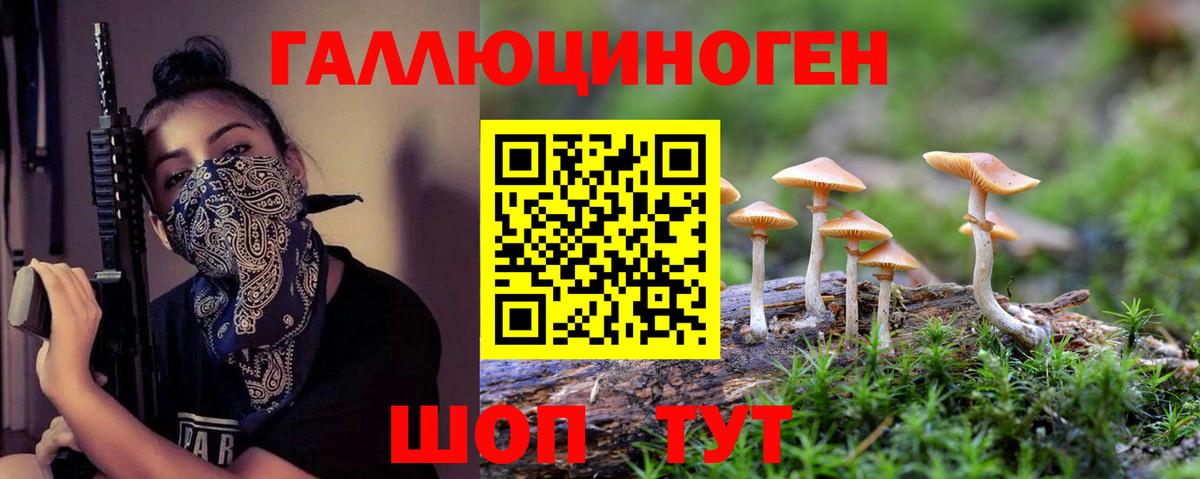 Галлюциногенные грибы GOLDEN TEACHER Павловский Посад